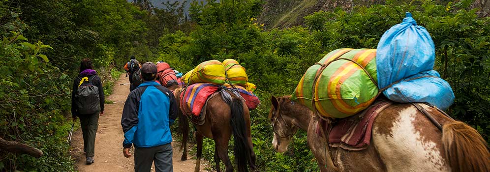 Hiking with Porters on the Inca Trail