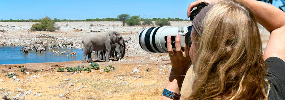 Photographing elephants in Africa