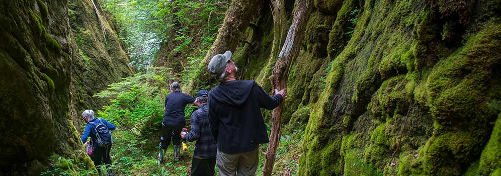 Part of the Inca Trail