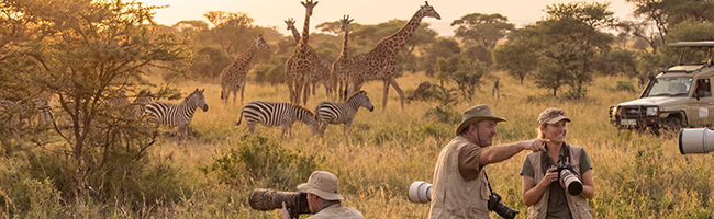 Photographers on safari