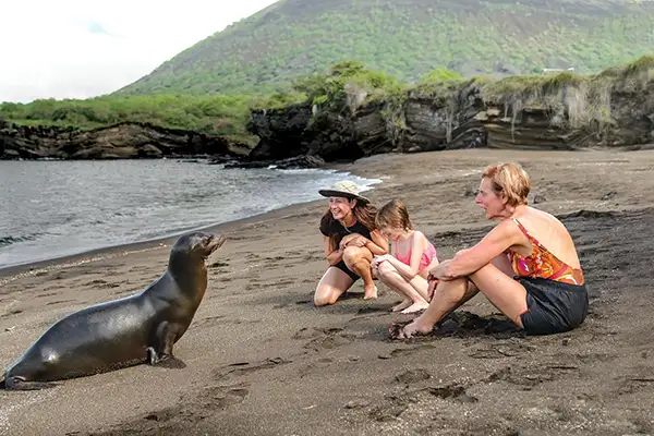 Guests have a close-up encounter with a friendly sea lion on the black lava sands of Puerto Egas, Santiago Island (c) Lindblad Expeditions