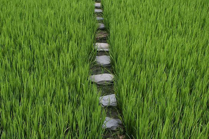 Walkabout trail in India