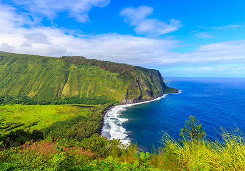 Hawaiian Coast