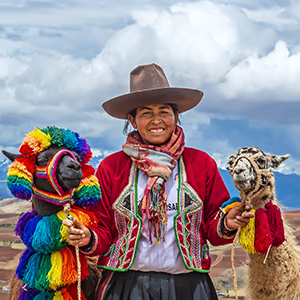 Native Peruvian woman with llamas