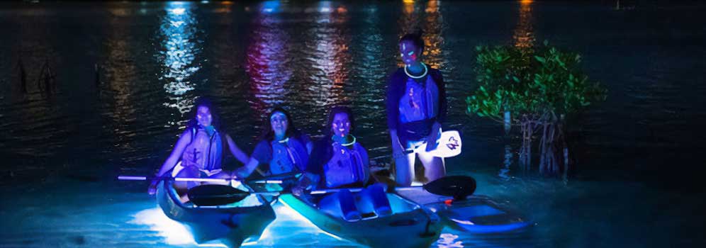 Group exploring bioluminescent waters in Puerto Rico