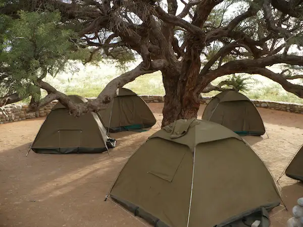 Camping Tents on Safari