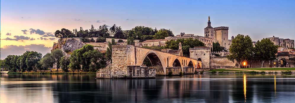 Avignon Bridge with Popes Palace and Rhone river