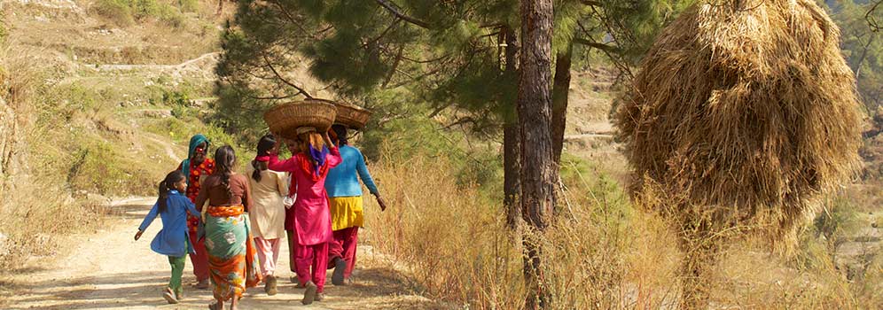 Local life in Kumaon