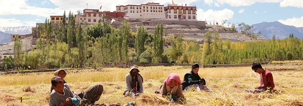 Spring in Ladakh